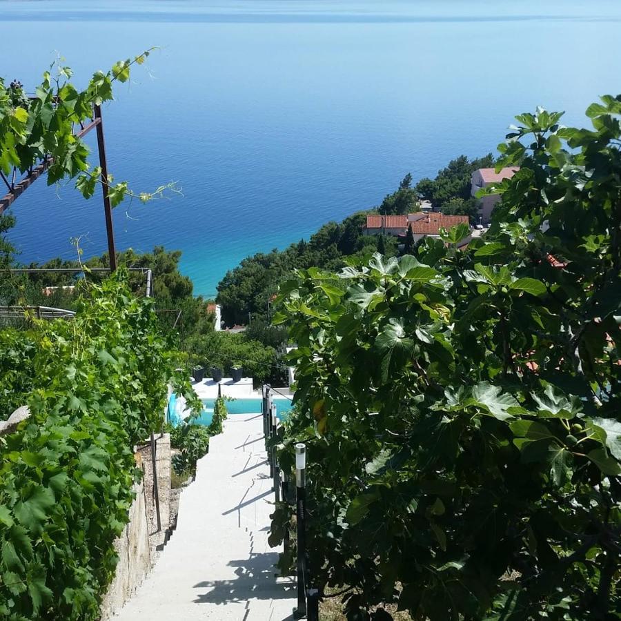 Waterview Apartments - Koru Apartment And Pool Mimice Esterno foto