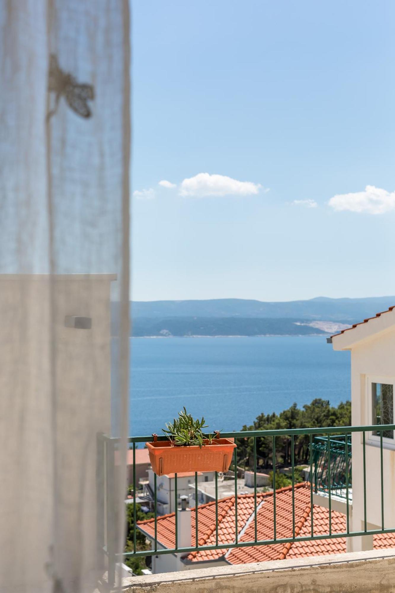 Waterview Apartments - Koru Apartment And Pool Mimice Esterno foto